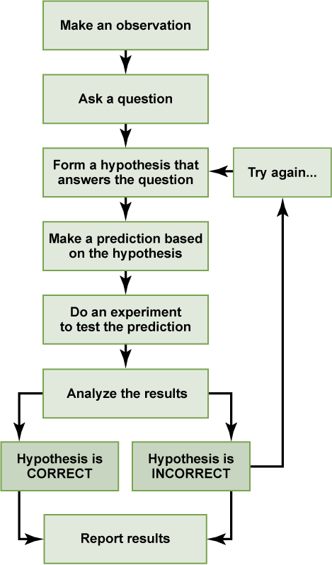 design experimental flowchart of Method Steps images Chart Flow Scientific