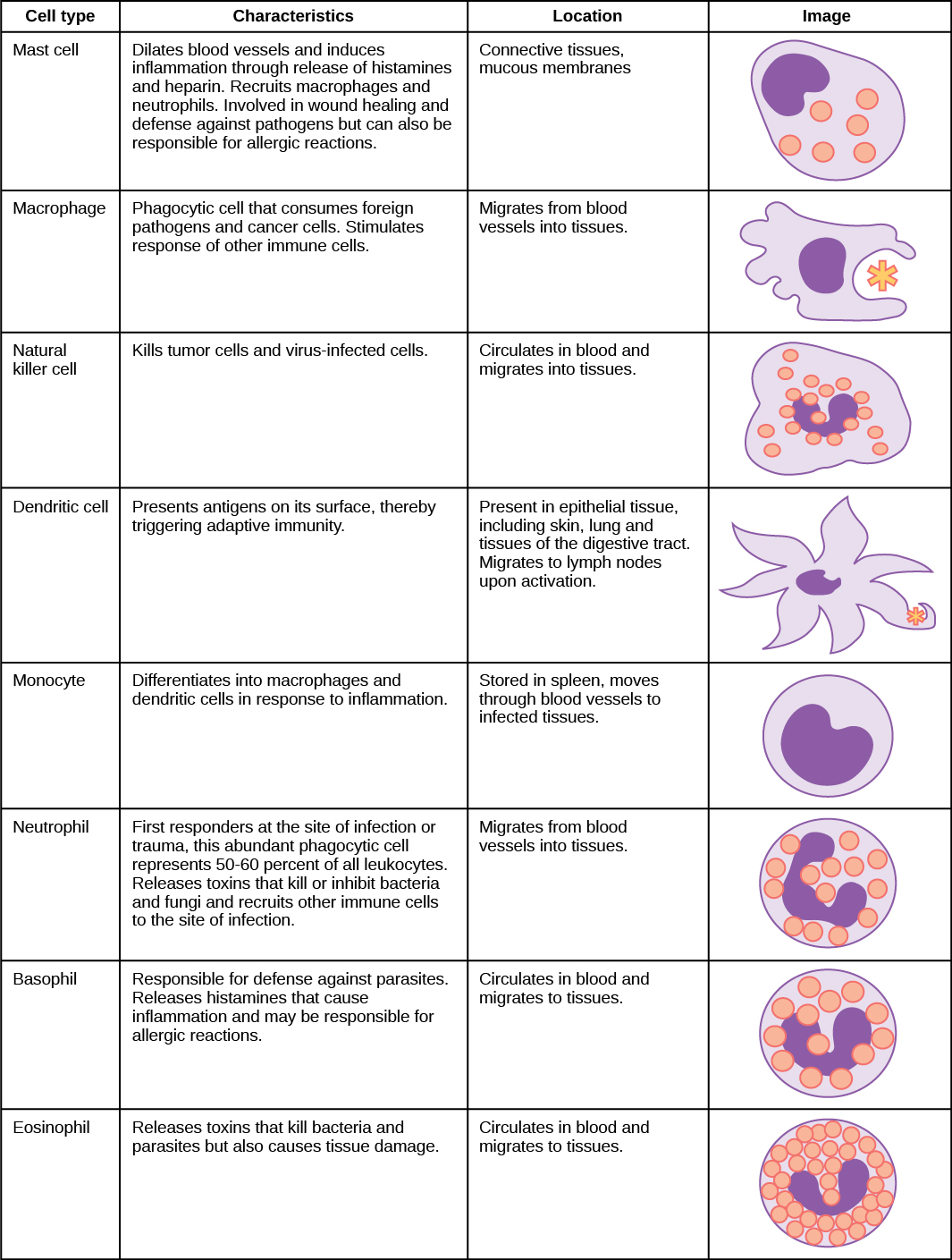 Innate Immune Response · Biology