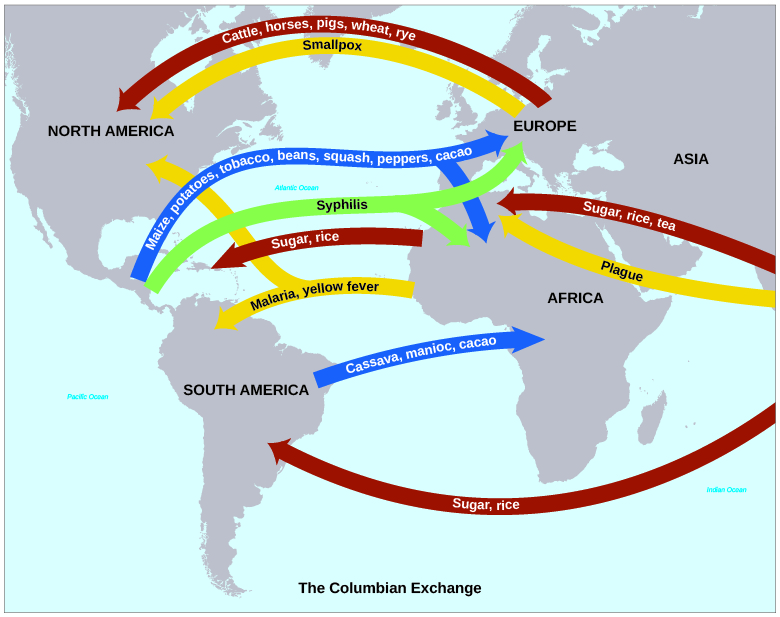 Positive effects of the columbian exchange