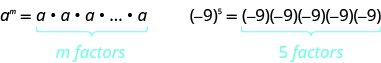 First example: a raised to the power of m equals a times a times a times a and so on until you have multiplied m different factors of a together. Second example: the quantity negative 9 raised to the power of 5 equals negative 9 times negative 9 times negative 9 times negative 9 times negative 9, a total of 5 factors of negative 9.