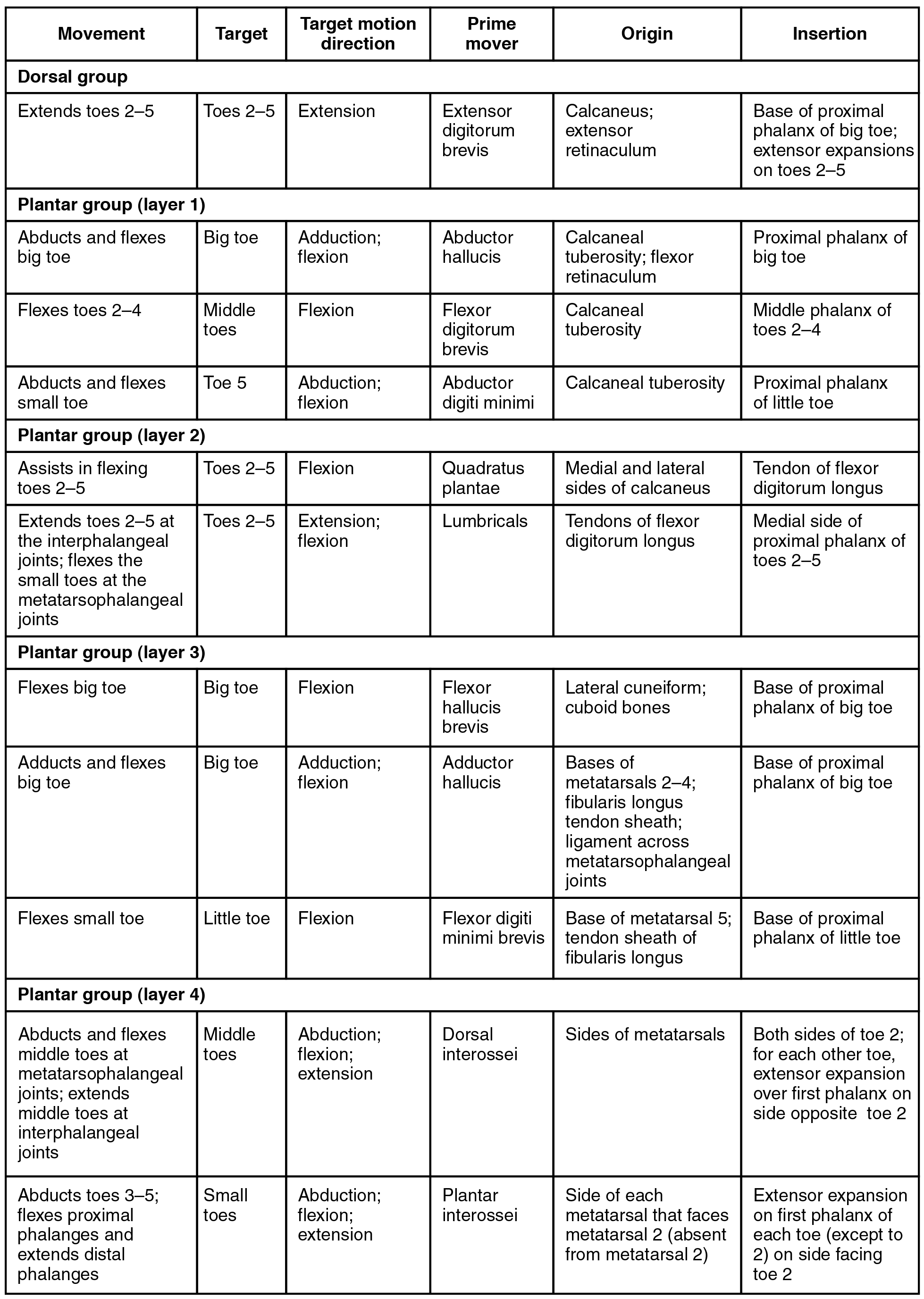 Appendicular Muscles of the Pelvic Girdle and Lower Limbs · Anatomy and