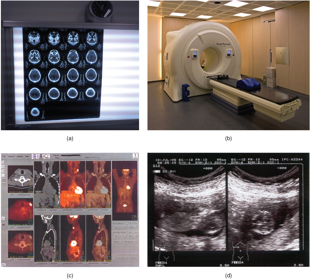 Medical Imaging · Anatomy and Physiology