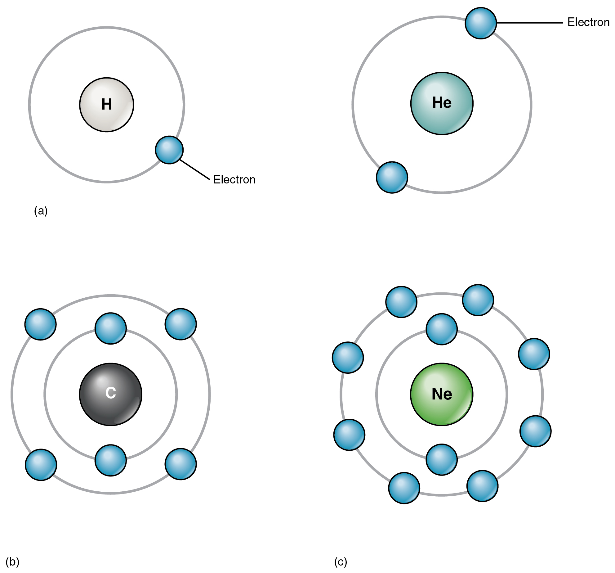 Elements And Atoms The Building Blocks Of Matter Anatomy And Physiology