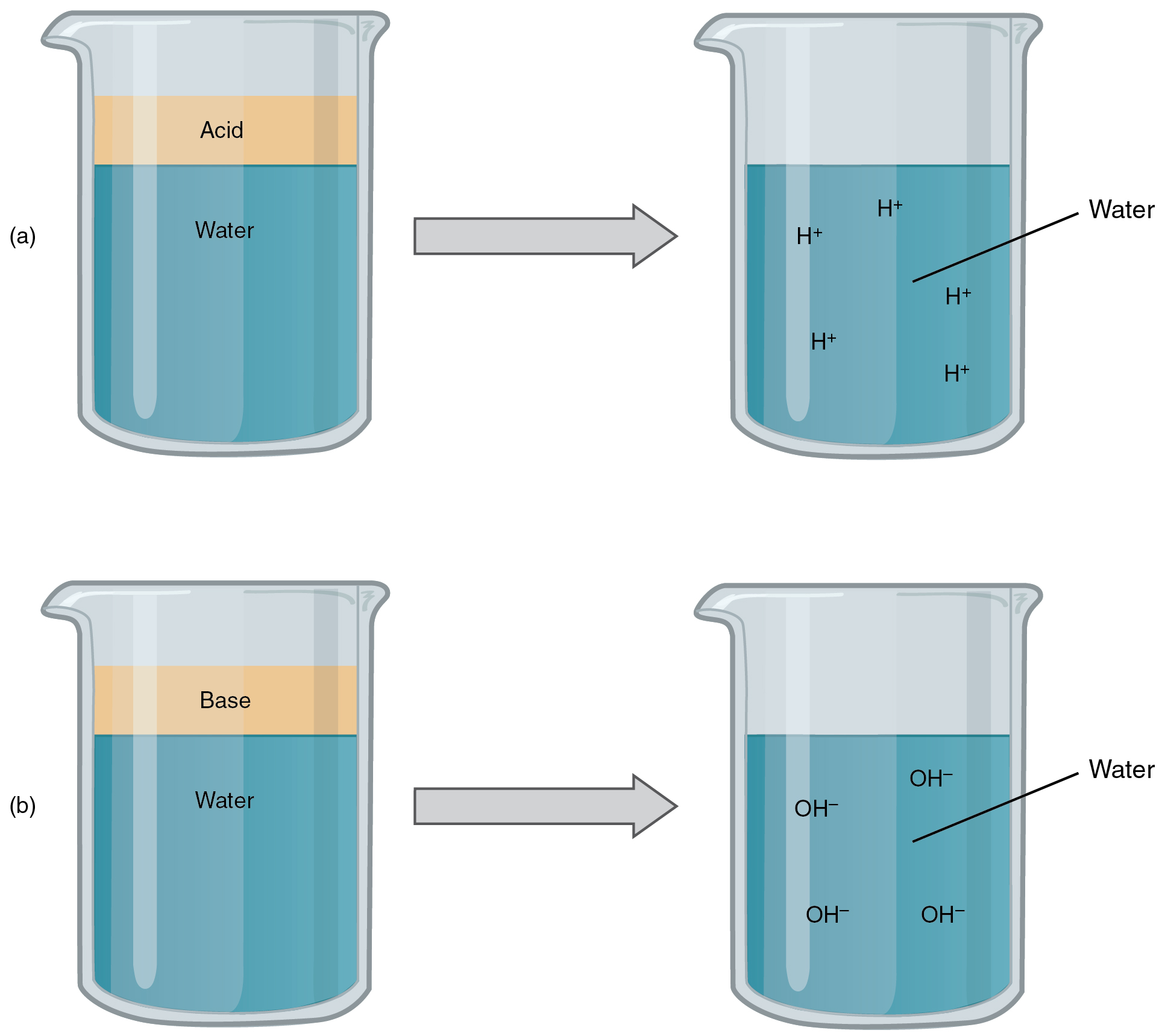 This figure shows four beakers containing different liquids.