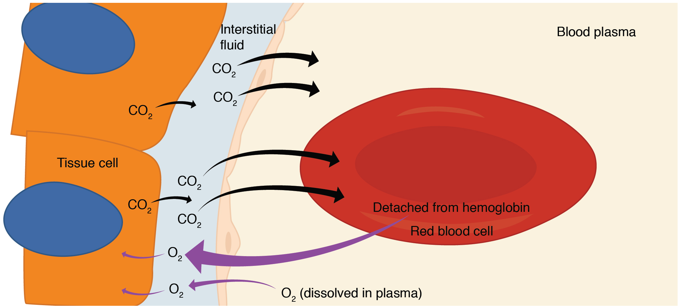 What Is A High Pressure Return Plasma