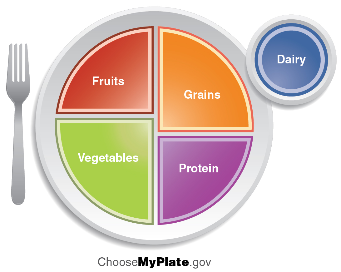 How Many Plates Of Food Should I Eat at Demetrius Arellano blog