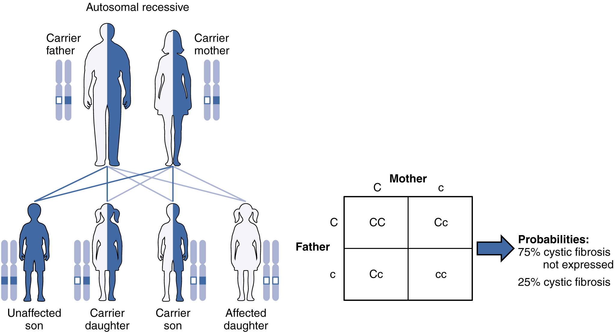 what does recessive gene mean in genetics