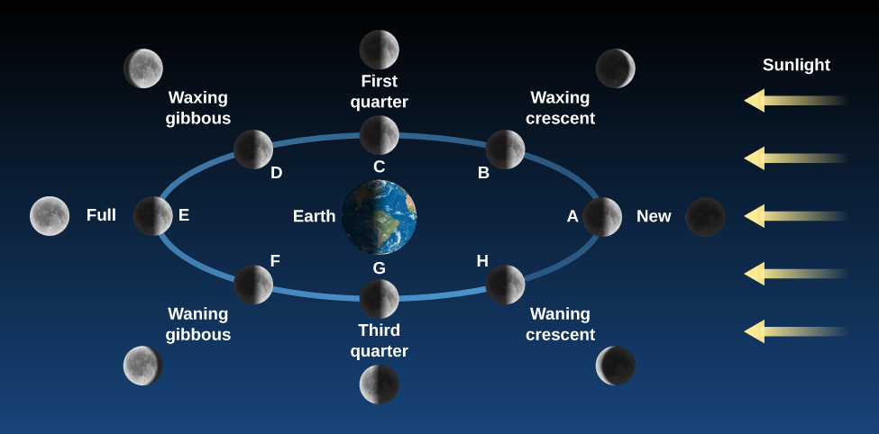 phases-and-motions-of-the-moon-astronomy