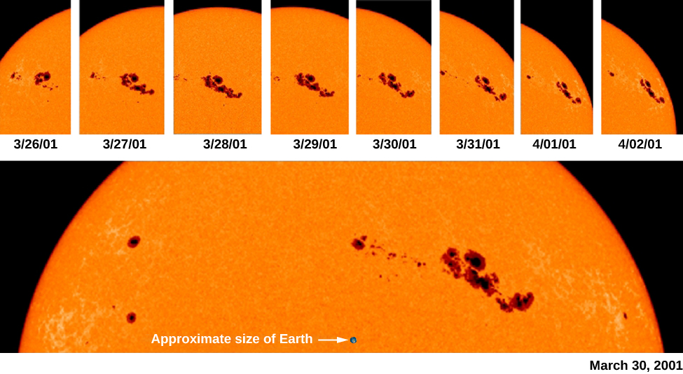 The Solar Cycle · Astronomy