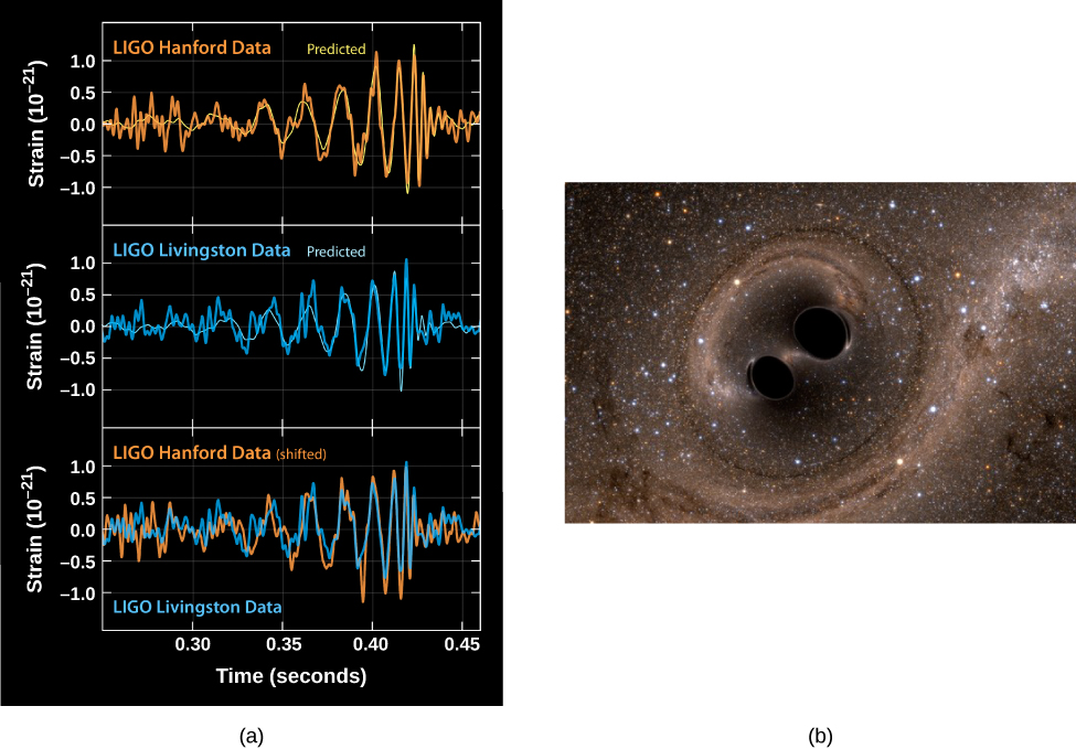 Signal Produced by a Gravitational Wave. Panel (a), at top, shows three measurements of a gravitational wave signal. At top is the “LIGO Hanford Data”, at center is the “LIGO Livingston Data” and bottom is the combined plot of “LIGO Hanford Data (shifted) and LIGO Livingston Data”. The vertical axis for each measurement is labeled “Strain (10-21)”, ranging from -1.0 at bottom to 1.0 at top, in increments of 0.5. The horizontal axis is labeled “Time (sec)”, ranging from 0.25 at left to 0.45 at right, in increments of 0.05. Each plot begins at left with a slight oscillation between -0.05 and 0.05 until T = 0.35 sec, when the oscillations increase in amplitude to -1.0 to 1.0. At T = 0.425 sec the oscillations diminish to their original levels. Panel (b), at bottom, shows an artist’s impression of two black holes orbiting each other. Of note is the distortion of the light from background stars due to the strong gravitational field of the pair.