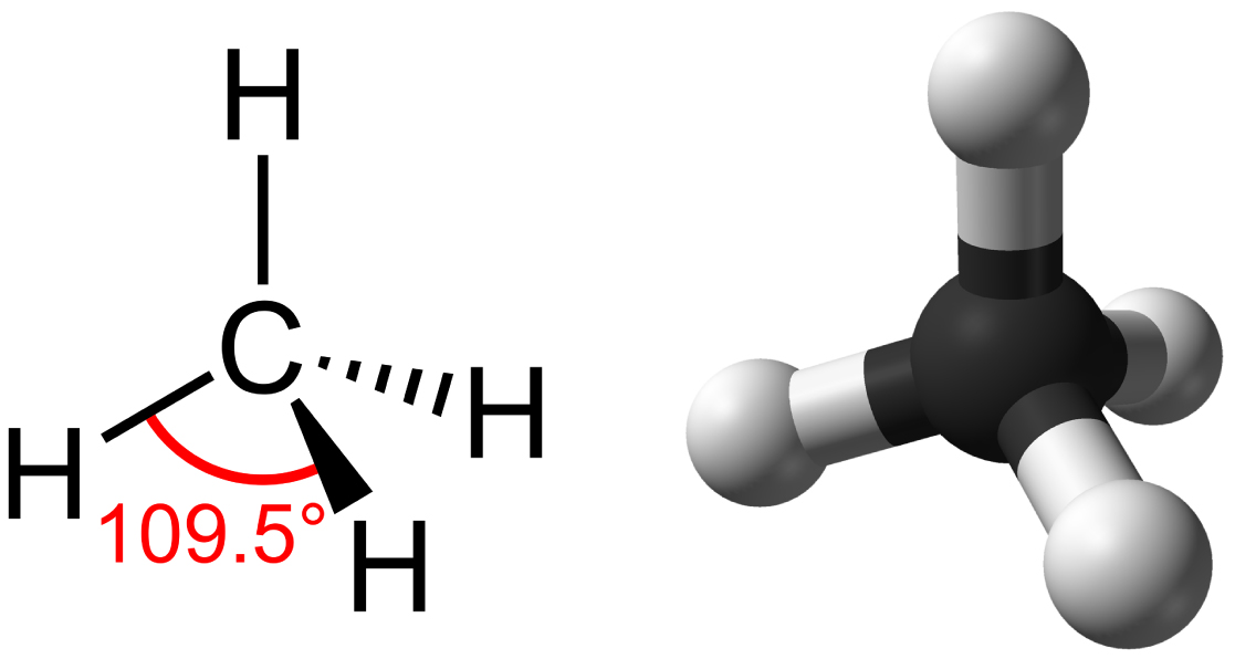 carbon-biology