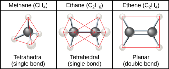 Methane, the simplest hydrocarbon, is composed of four hydrogen atoms surrounding a central carbon. The bond between the four hydrogen atoms and the central carbon spaced as far apart as possible. This results in a tetrahedral shape with hydrogen atoms projecting upward and off to three sides around the central carbon. Ethane is composed of two carbons connected by a single bond. Each carbon also has three hydrogen atoms connected to it. The hydrogens are spaced as far apart from each other and from the other carbon so again the shape is tetrahedral. Ethene, like ethane, is composed of two carbon atoms, but in this case the carbons are connected by a double bond. Each carbon also has two hydrogen atoms connected to it, for a total of three bonds. The three bonds are spaced as far apart as possible around carbon, which means they are all on the same plane and pointing off in three directions. As a result, the molecule is planar, or flat.