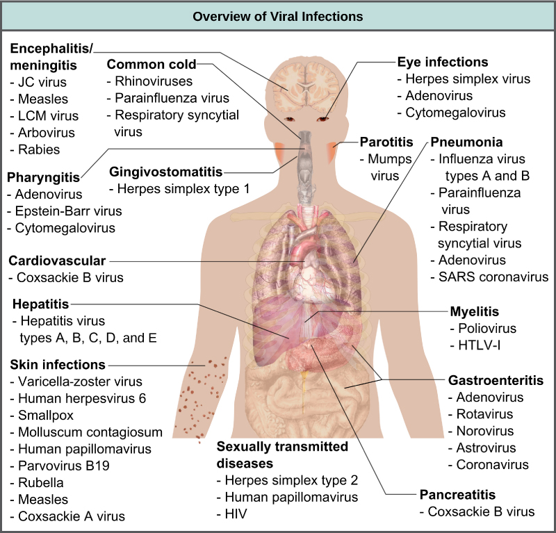 Prevention and Treatment of Viral Infections · Biology