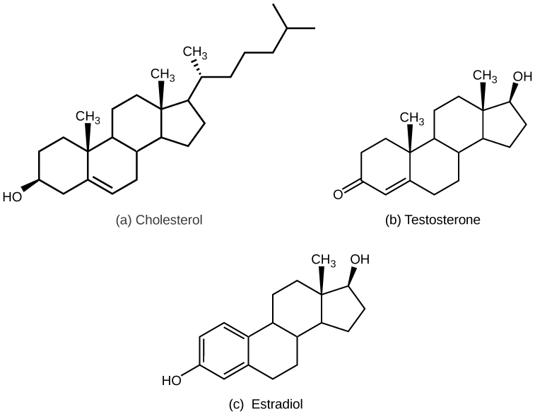 Types Of Hormones · Biology 2432