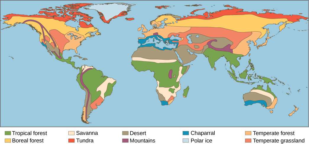 terrestrial-biomes-biology