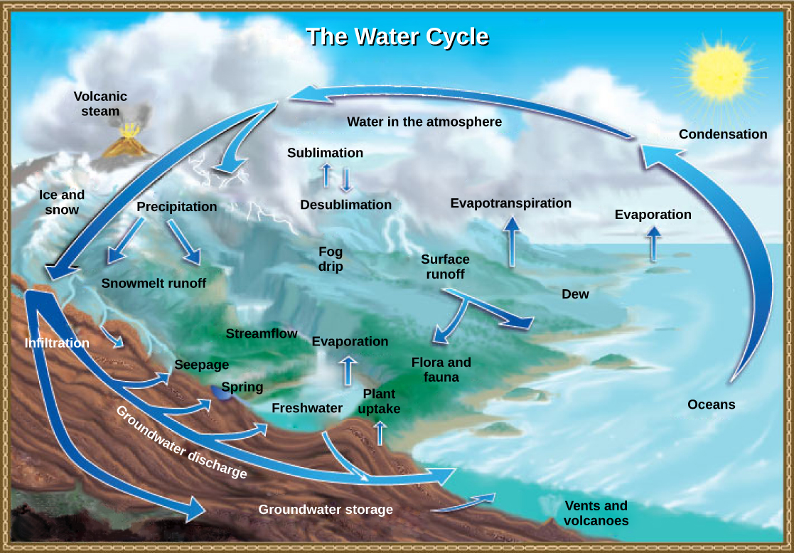 Biogeochemical Cycles Biology