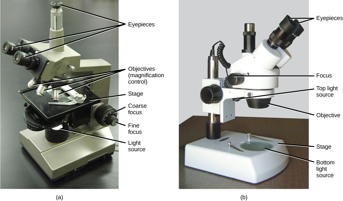 binocular parts