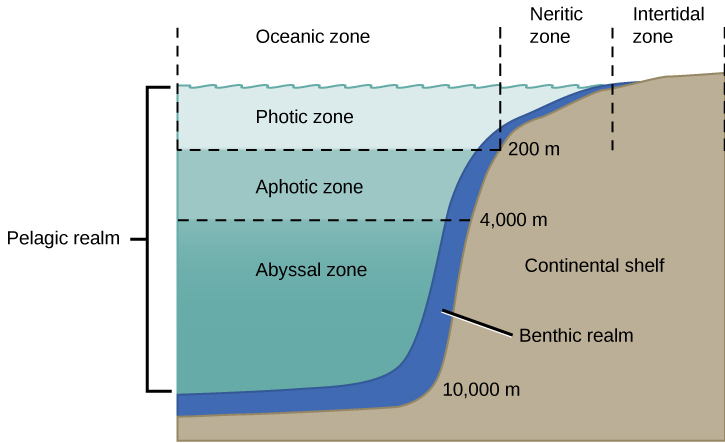 Aquatic and Marine Biomes · Concepts of Biology