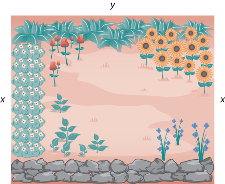 A drawing of a garden has x and y written on the vertical and horizontal sides, respectively. There is a rock wall running along the entire bottom horizontal length of the drawing.