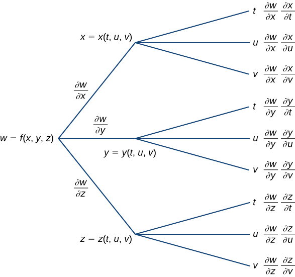 The Chain Rule Calculus