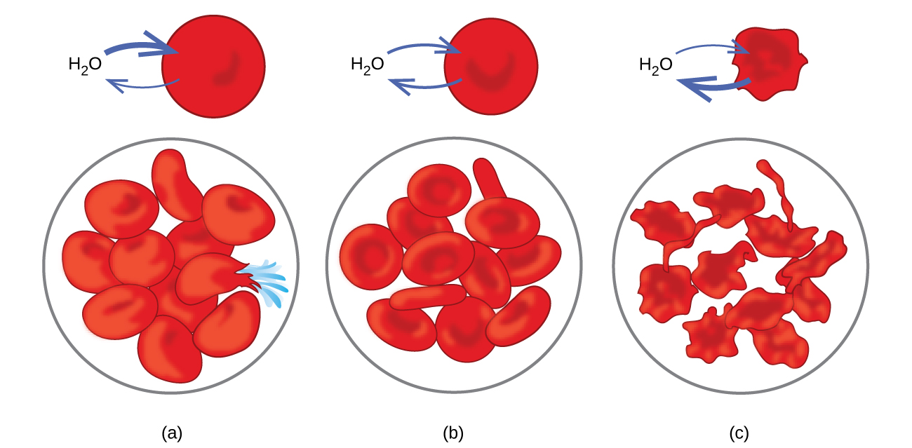 colligative-properties-chemistry