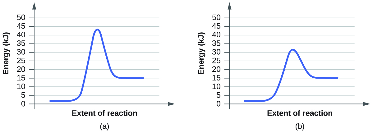 In this figure, two graphs are shown. The x-axes are labeled, “Extent of reaction,” and the y-axes are labeled, “Energy.” The y-axes are marked off from 0 to 50 in intervals of 5. In a, a blue curve is shown. It begins with a horizontal region at about 2. The curve then rises sharply near the middle to reach a maximum of about 43 and similarly falls to another horizontal segment at 15. In b, the curve begins and ends similarly, but the maximum reached near the center of the graph is only about 32.