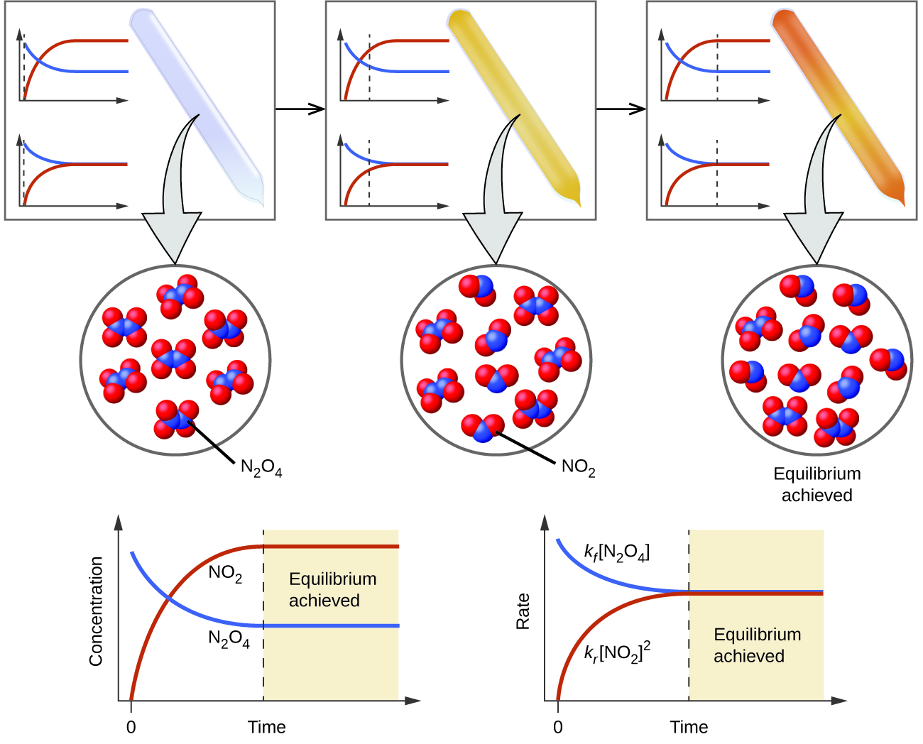 chemical-equilibria-chemistry