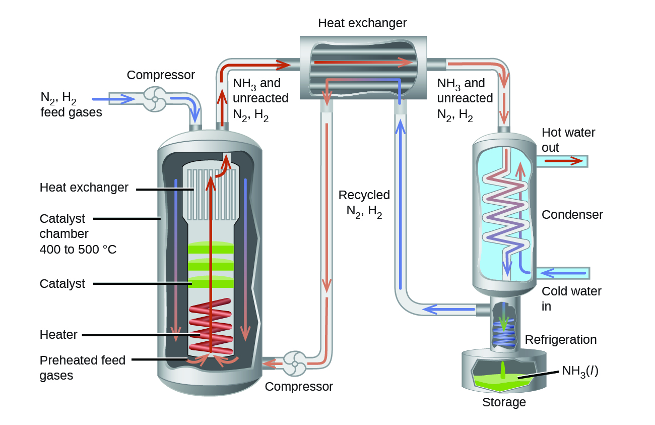 A diagram is shown that is composed of three main sections. The first section shows an intake pipe labeled with blue arrows and the terms, “N subscript 2, H subscript 2, feed gases,” and “Compressor.” This pipe leads to a large chamber with a turbine in the top section and a coil in the bottom section. From top to bottom, the sections of this chamber are labeled, “Heat exchanger,” “Catalyst chamber 400 to 500 degrees C,” “Catalyst,” “Heater,” and “Preheated feed gases.” One pipe leads from the top of this chamber with red arrows and is labeled, “N H subscript 3 and unreacted N subscript 2, H subscript 2,” while another pipe leads to the bottom of the chamber and reads, “Compressor,” and has orange arrows going through it. These two pipes are connected to a square container that is labeled, “Heat exchanger,” and has red arrows going into it from the upper pipe, orange arrows going away from it to the lower pipe and into a third system. The pipes leading into and out of the heat exchanger are labeled, “Recycled N subscript 2, H subscript 2.” The third system shows a container with an interior zig-zag-shaped pipe that sits on a base that contains a curled pipe on a storage tank. From the top of the image to the bottom are the terms, “N H subscript 3 and unreacted N subscript 2, H subscript 2,” “Condenser,” “Cold water in,” “Refrigeration,” “N H subscript 3 ( l ),” and “Storage” Blue arrows lead away from the base of this system and into the second system while other blue arrows lead into the system from the right side of the diagram and back out of the same chamber.