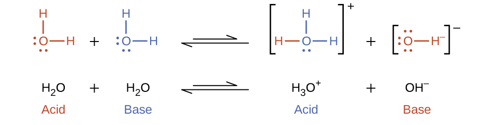 Brønsted-Lowry Acids and Bases · Chemistry