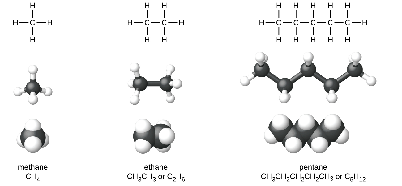 Бутан связь в молекуле. Алканы строение молекулы. Структурная формула молекулы алкана. Алканы строение молекулы метана. Этан структура формула.