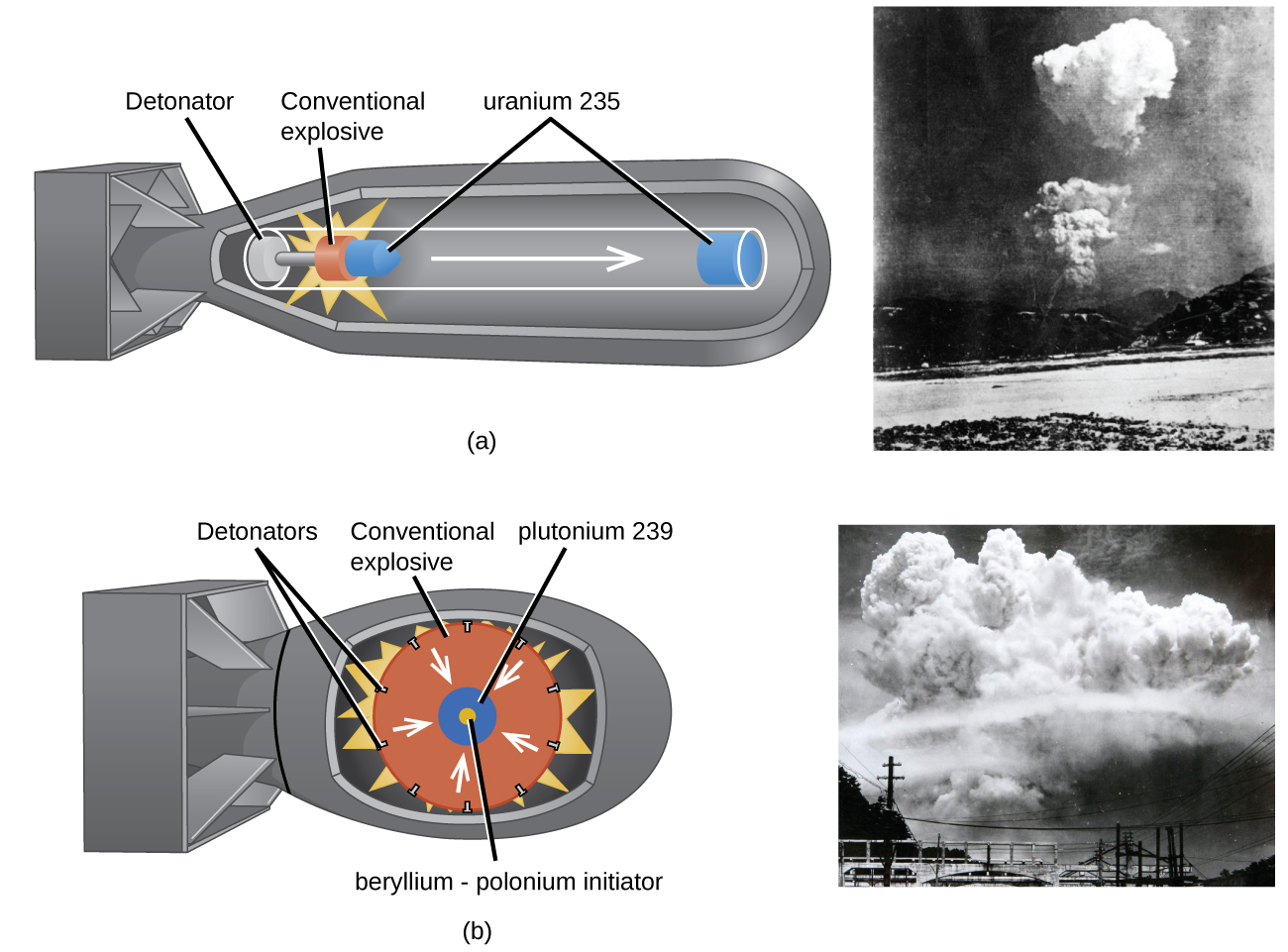 Transmutation And Nuclear Energy Chemistry