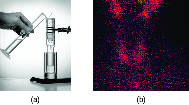 A photograph and a microscopic image are shown and labeled “a” and “b.” Photo a shows a person’s hand holding a graduated cylinder that contains a clear, colorless liquid and tilting the cylinder to pour it into a vertical, cylindrical glass tube. The tube has many separate glass components and is held in place by a test tube clamp. Image b shows a multitude of tiny, red dots on a black background. The dots are collected in four regions and dispersed elsewhere.