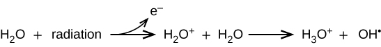 This image shows a reaction. It starts with H subscript 2 O plus radiation. There is a right-facing arrow which points to H subscript 2 O superscript positive sign plus H subscript 2 O. From the arrow, there is another arrow that curves upward and points to an e superscript negative sign. After the second H subscript 2 O there is another right-facing arrow which points to H subscript 3 O superscript positive sign plus O H superscript negative sign.