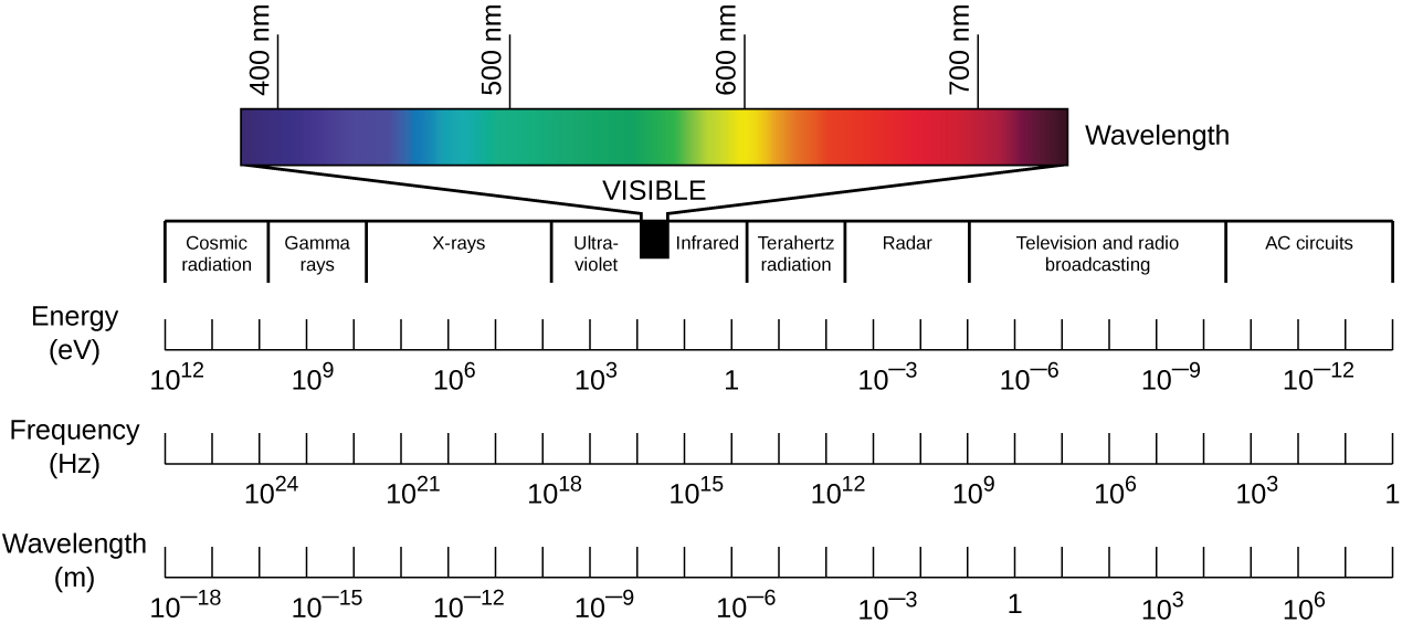 A series of scales indicate that the image shows the lowest wavelength (10 superscript -18 m) on the left and the highest wavelength (10 superscript 6 m) on the right. The frequencies range from over 10 superscript 24 Hzon the left to 1 Hz on the right. The energies range from 10 superscript 12 ev on the left to 10 superscript -12 on the right. The types of radiation listed above these scales (from left to right) is: cosmic radiation, gamma rays, X-rays, ultra-violet, visible, infrared, Terahertz radiation, radar, television and radion broadcasting, and AC circuits. The visible light portion of the spectrum is pulled out and shows blue light at 400 nm, green light at 500 nm, yellow light at 600 nm, and red light at 700 nm.