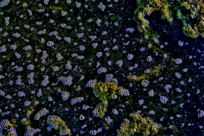 A photo of bubbles on water.