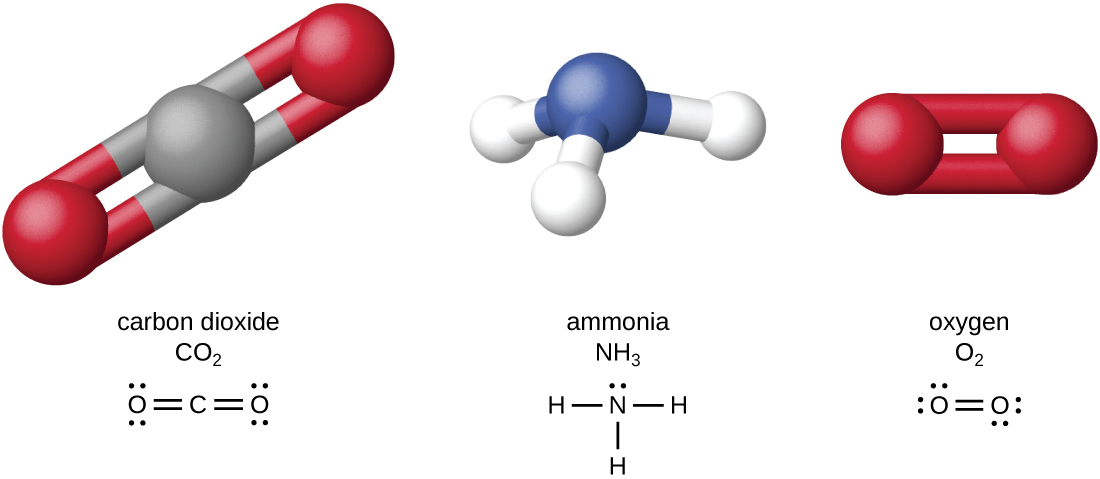 carbon dioxide formula oxidation number