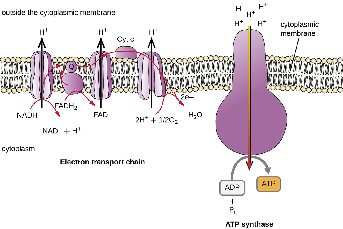 acids-as-proton-donor-acid-base-and-salt-youtube