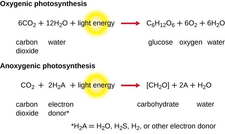 what is the meaning of oxygenic photosynthesis