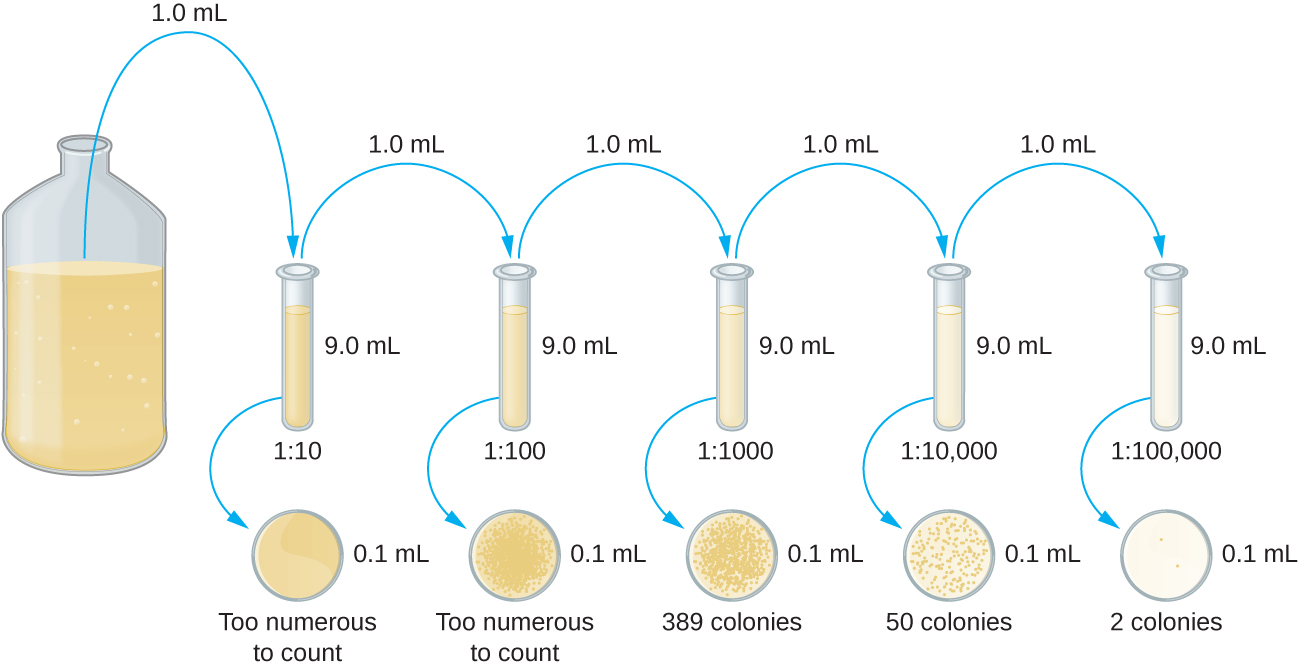 How Microbes Grow Microbiology