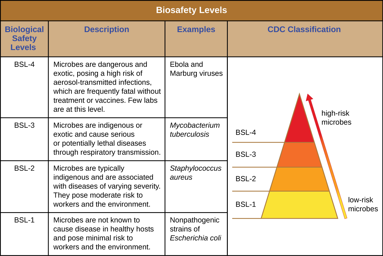Controlling Microbial Growth Microbiology
