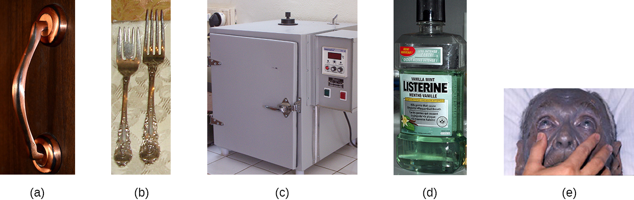 a) photo of a copper door handle. B) Picture of silver forks. C) Picture of an incubator d) picture of Listerine mouthwash. E) Picture of a person with gray skin.