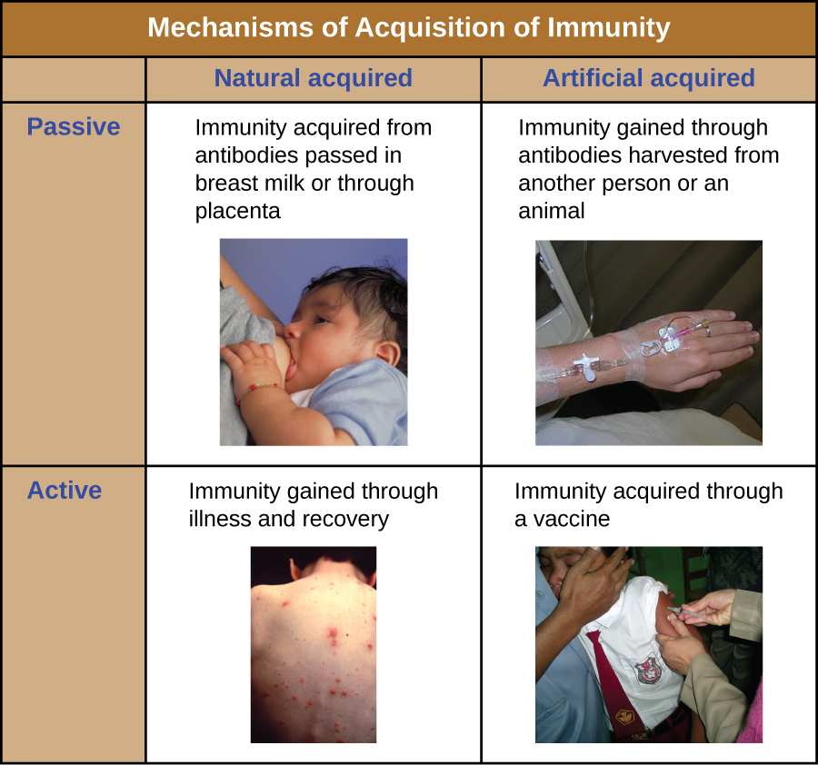 vaccines-microbiology