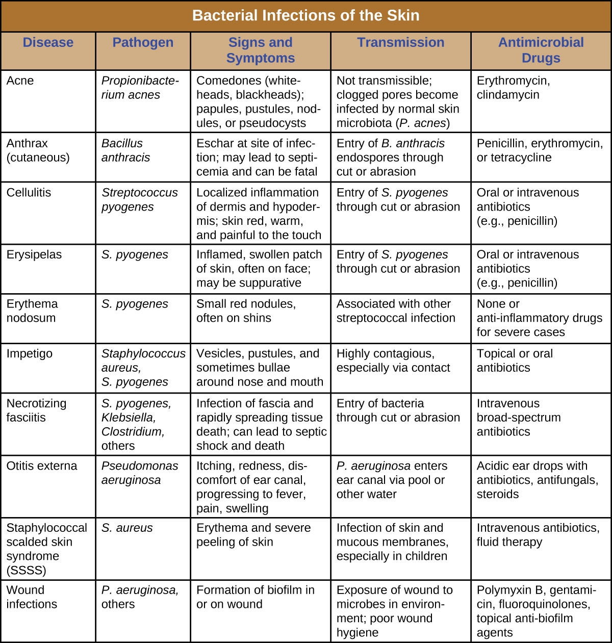 Bacterial Infections Of The Skin And Eyes Microbiology Bacterial Infections Of The Skin And Eyes Microbiology