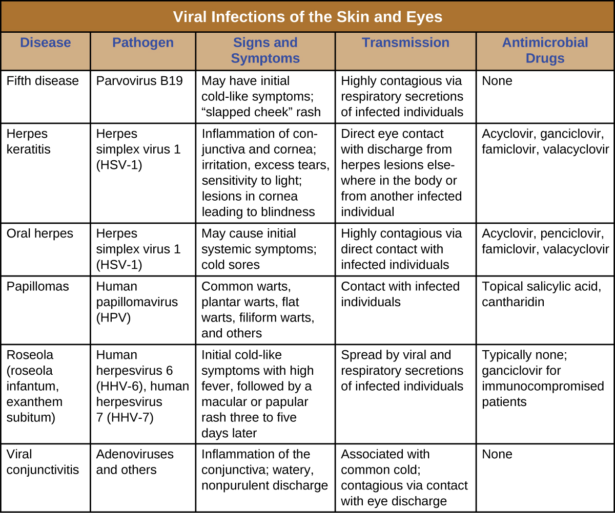 Viral Infections Of The Skin And Eyes Microbiology