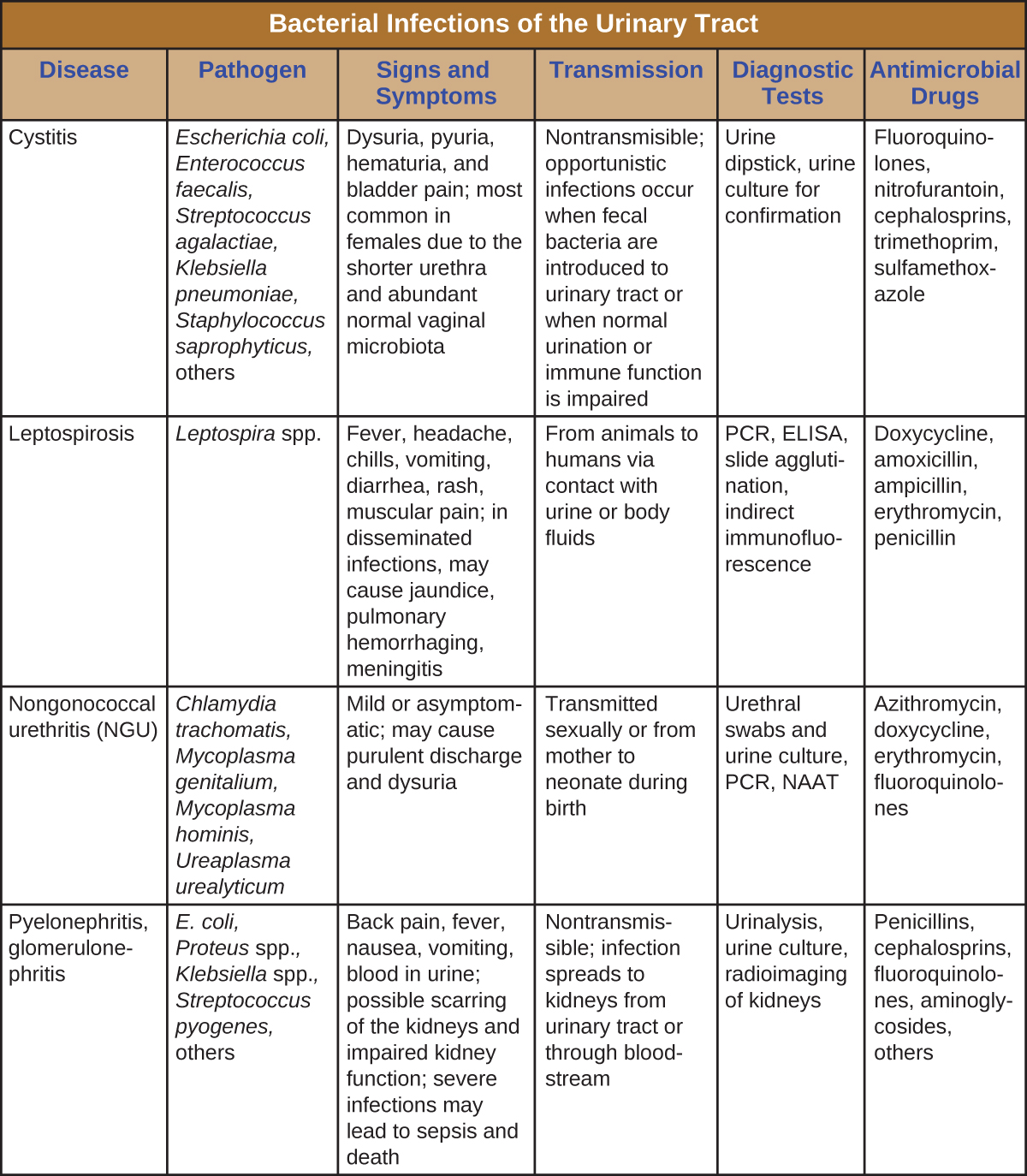 Bacterial Infections Of The Urinary System · Microbiology 7494