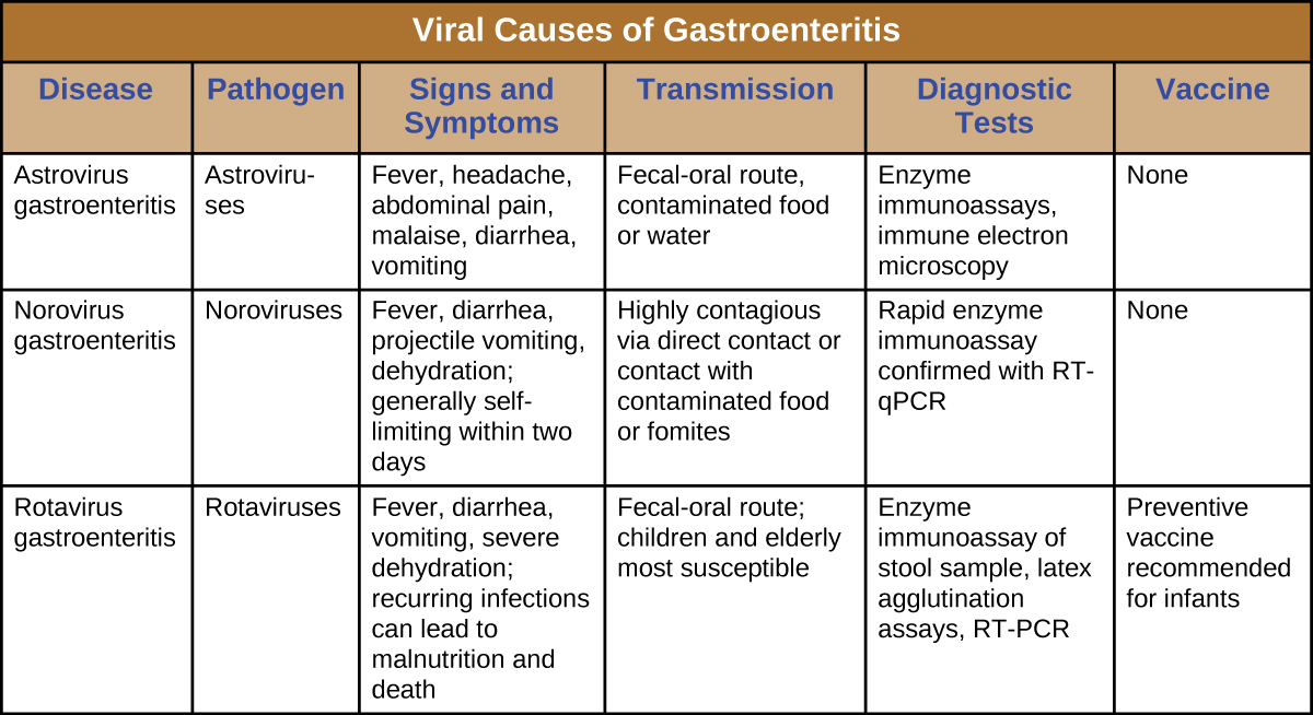 Viral Infections Of The Gastrointestinal Tract Microbiology