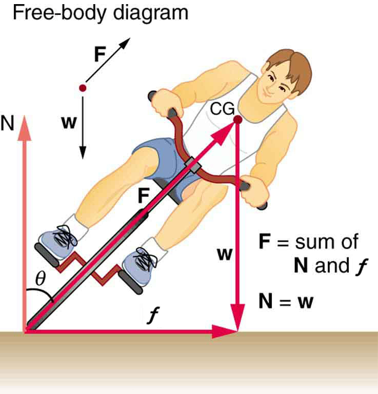 Centripetal Force · Physics