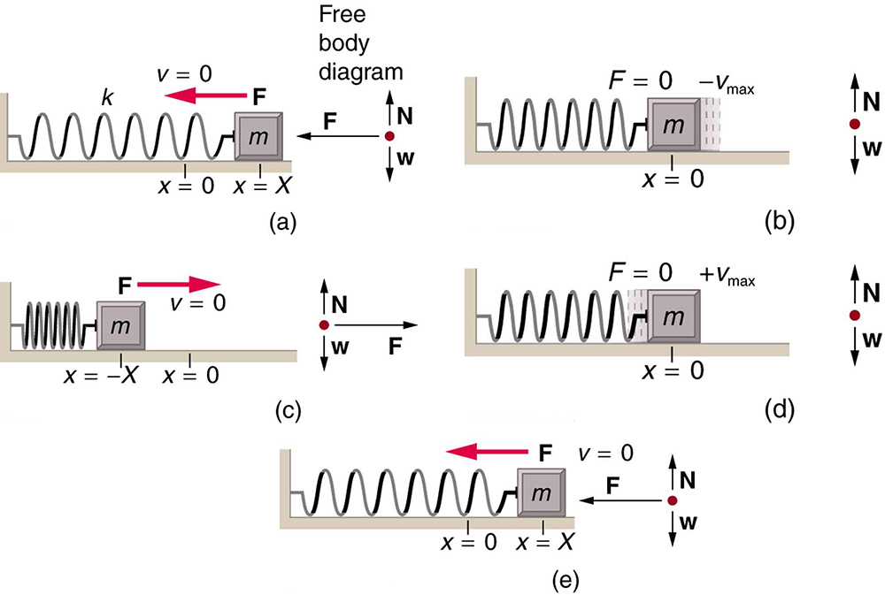 simple-harmonic-motion-a-special-periodic-motion-physics