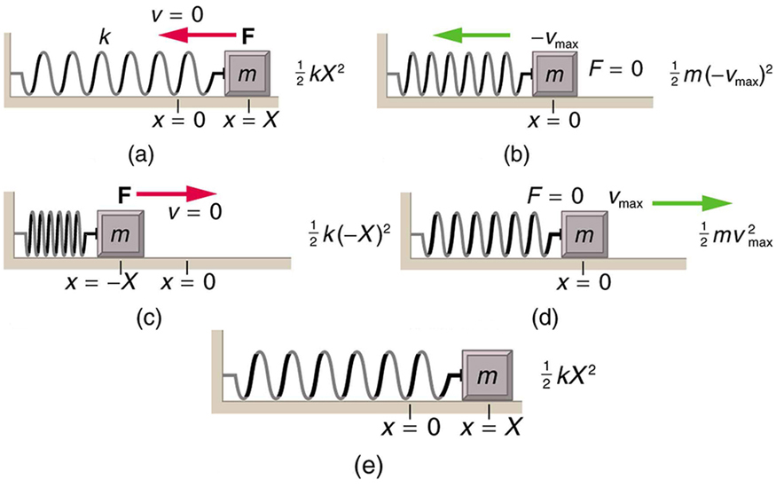 Energy and the Simple Harmonic Oscillator · Physics