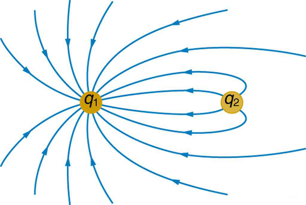 Equipotential Lines · Physics